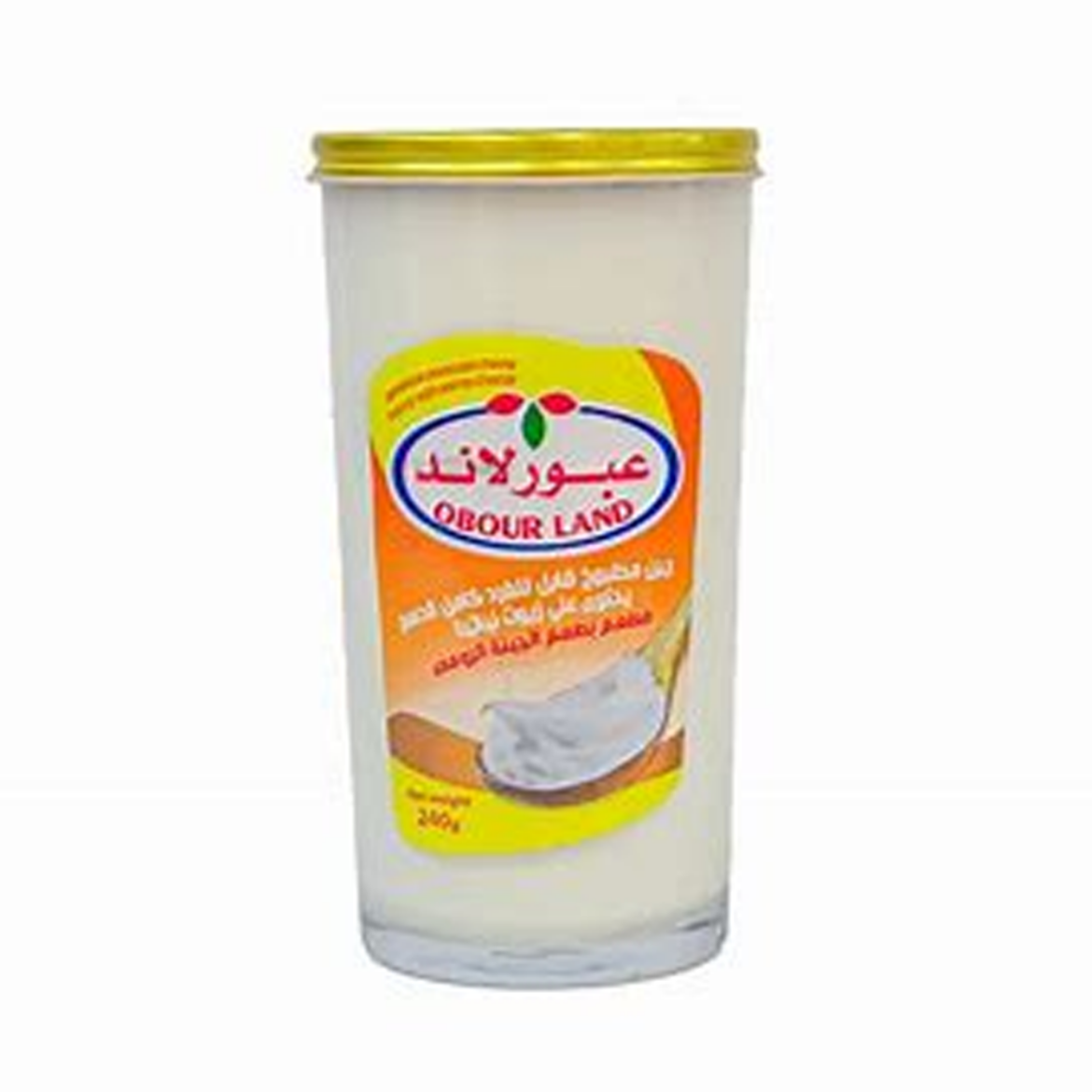 Picture of Abourland Processed Romano Cheese Cup 240g S.M 52 EGP