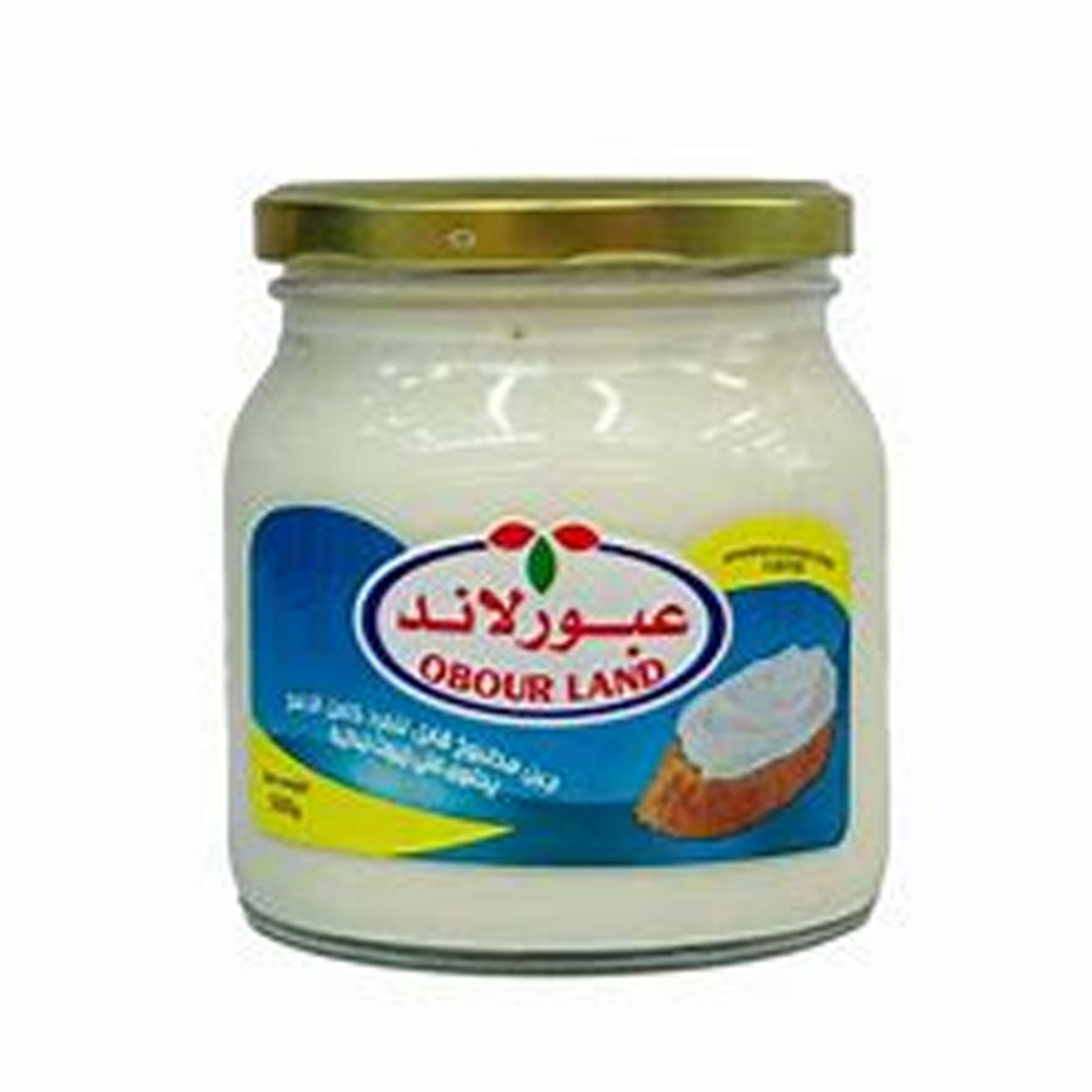 Picture of Obour Land Cheese cream Cheese cup 500g
