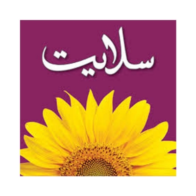 صورة الشركة سلايت